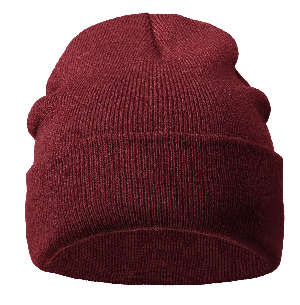 Beastie Beanie